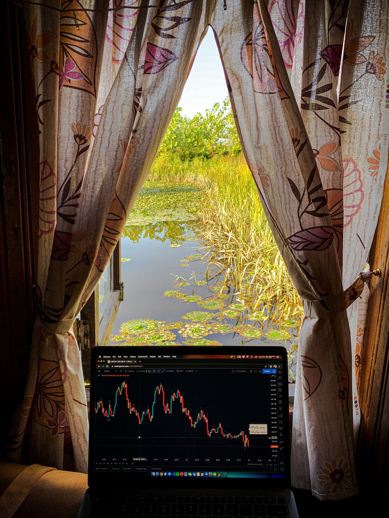 График TradingView в Instagram @Cenobar